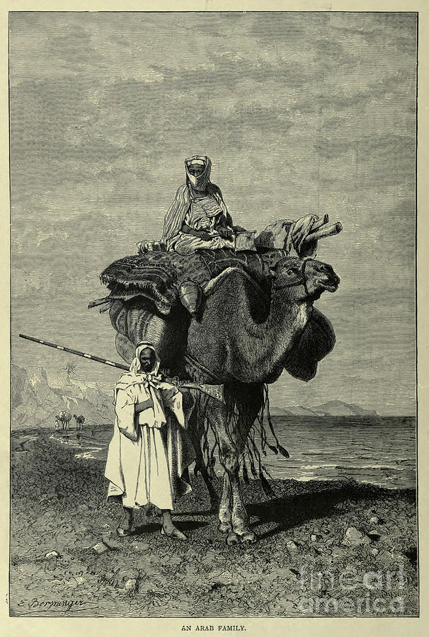 An Arab Family With A Camel B2 Photograph By Historic Illustrations 