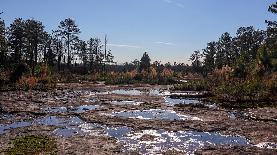 An Arabia Mountain Afternoon  Photograph by Ed Williams