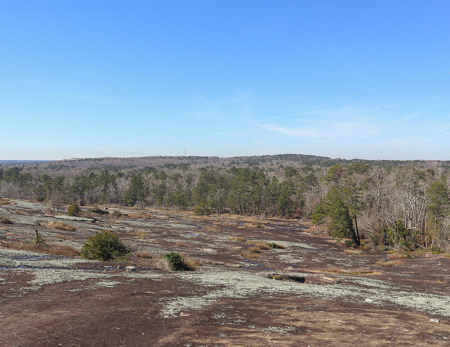 An Arabia Mountain Winter Look Photograph by Ed Williams