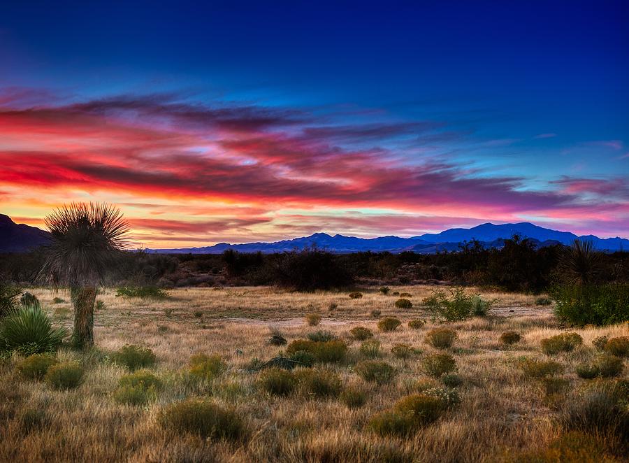 An Arizona Sunset Photograph by Mountain Dreams - Fine Art America