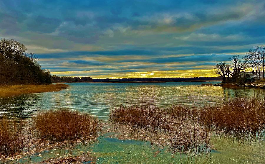 An array of emotions photograph by renee defilippis pixels