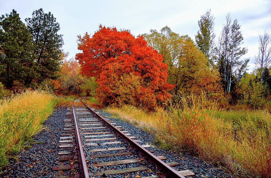 Fall Photograph - An Autumn Day in Pullman by David Patterson