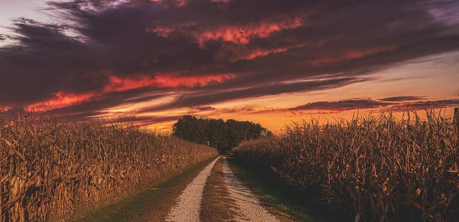 Sunset Photograph - An Autumn Evening in the Cornfield by Mountain Dreams