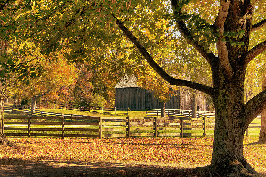 An Autumn Farm Photograph by Mitch Spence