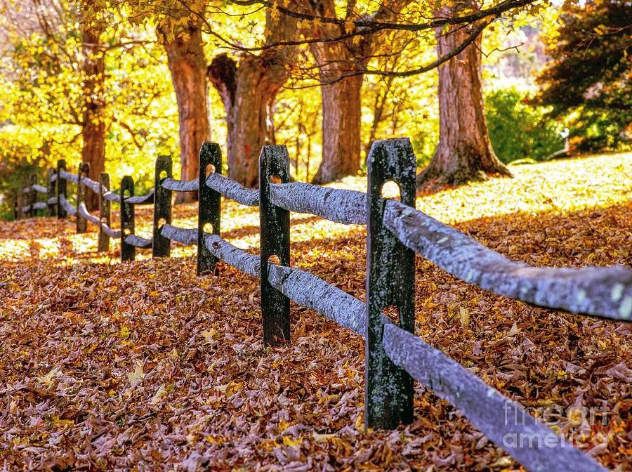 An autumn in New England Photograph by Michael McCormack