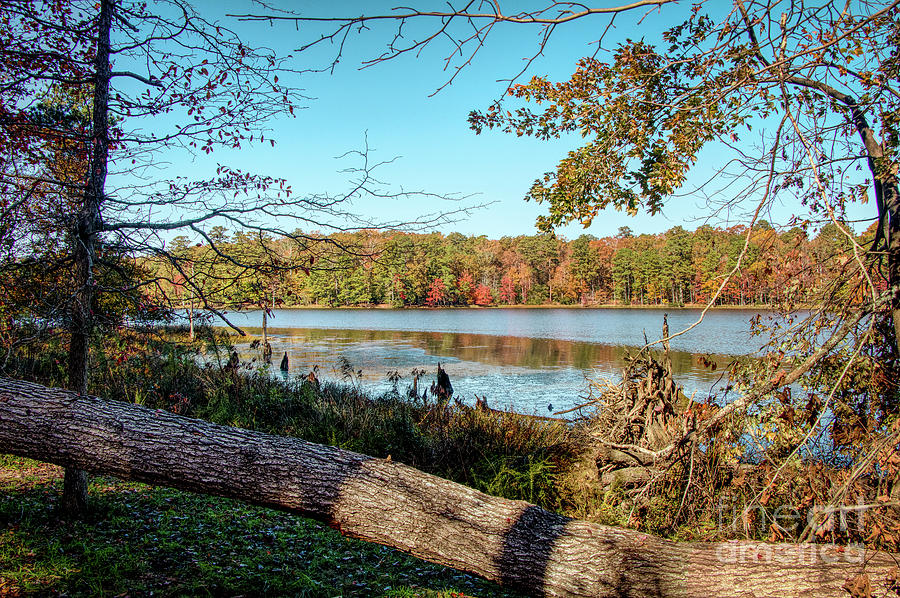An Autumn Lake Side Vista Photograph