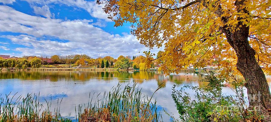 An Autumn Landscape in a Sunny Day Photograph by Amalia Suruceanu