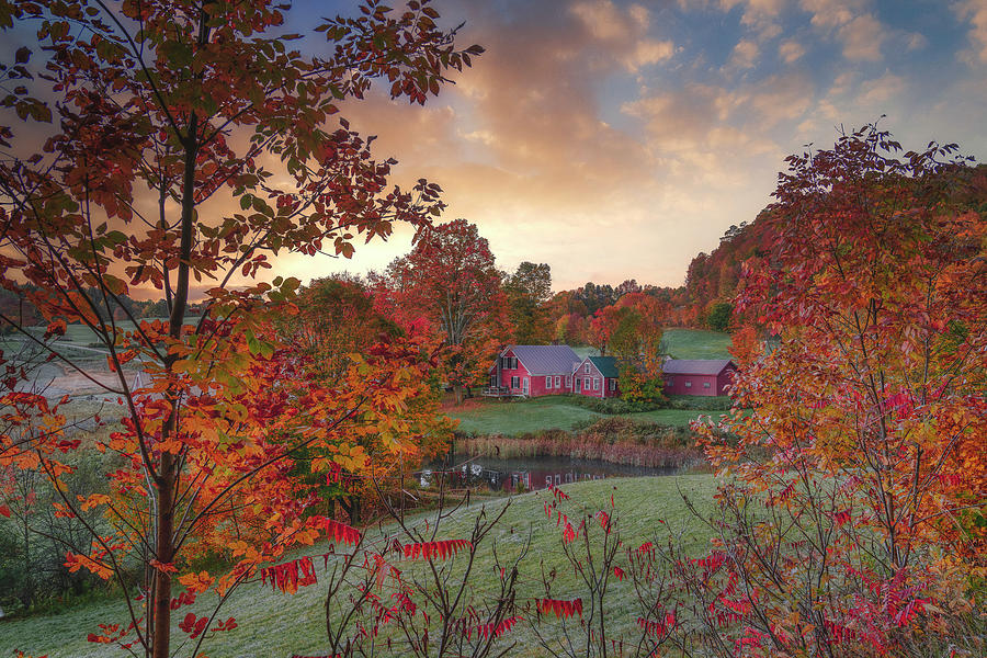 An Autumn Morning Photograph by Penny Polakoff