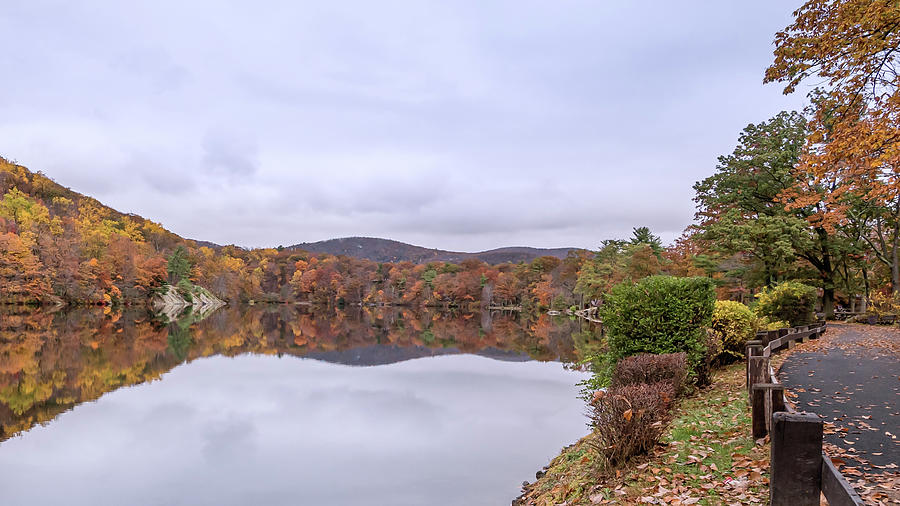 An Autumn Reflection Photograph by Sylvia Goldkranz