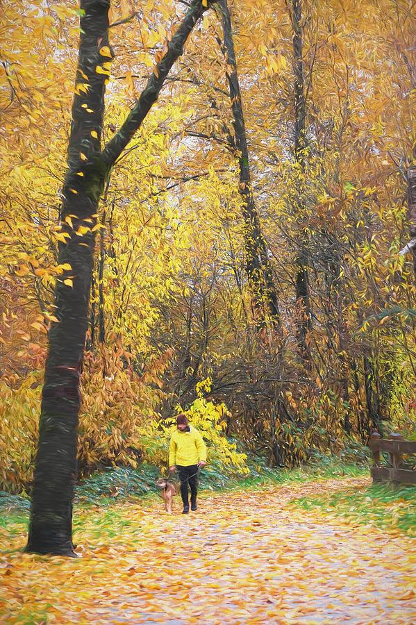 An Autumn Stroll Photograph by Sharon Talson