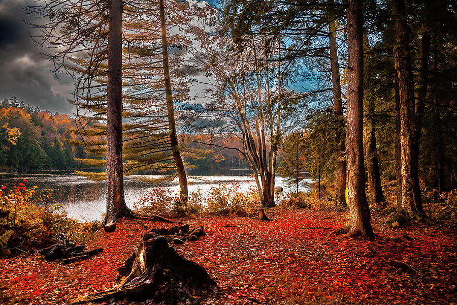 Fall Photograph - An Autumn View by David Patterson