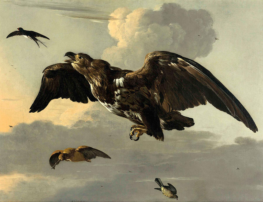 An Eagle, Swallow, Snipe and Finch in flight  Painting by Melchior dHondecoeter
