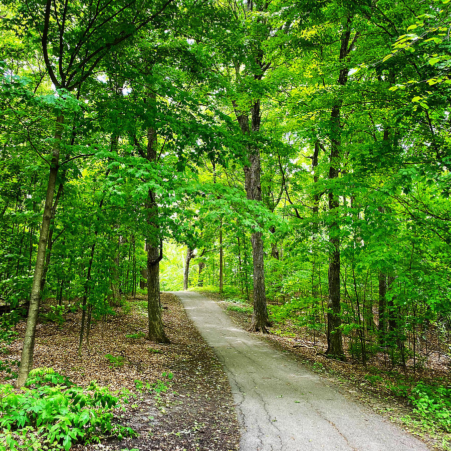 An Easy Walk Photograph by Todd Johnson | Fine Art America