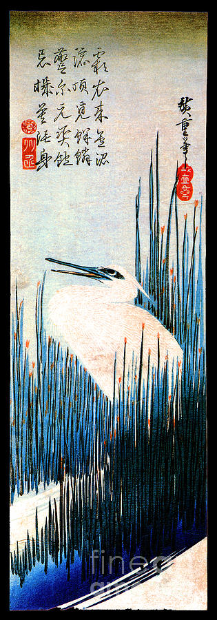 An Egret Among Rushes Painting