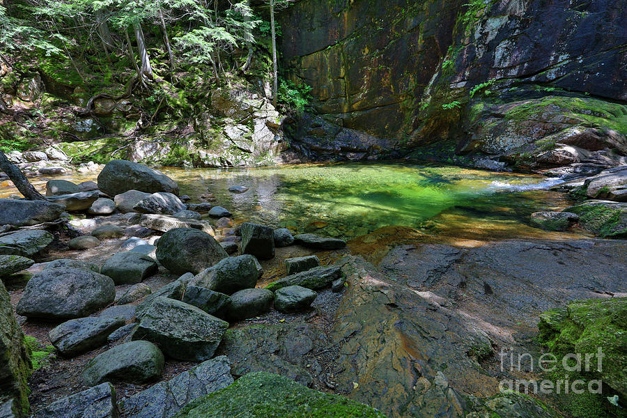 An Emerald Pool Photograph by Michelle Constantine