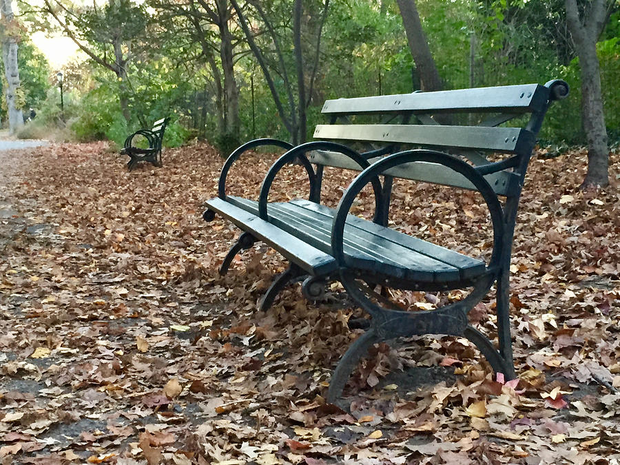 An empty wood bench in a public park surrounded by fallen leaves Photograph by Photography by Keith Getter (all rights reserved)