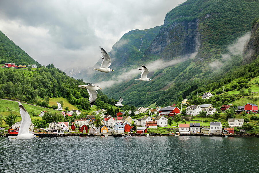 An Idyllic Village On The Edge Of A Fjord Photograph by Elvira Peretsman