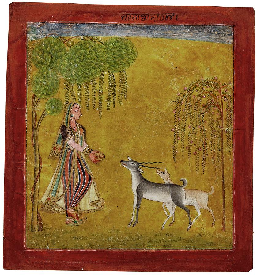 An illustration to a nayika series A lady with deer, North India, Basohli, late 17th century Painting by Artistic Rifki