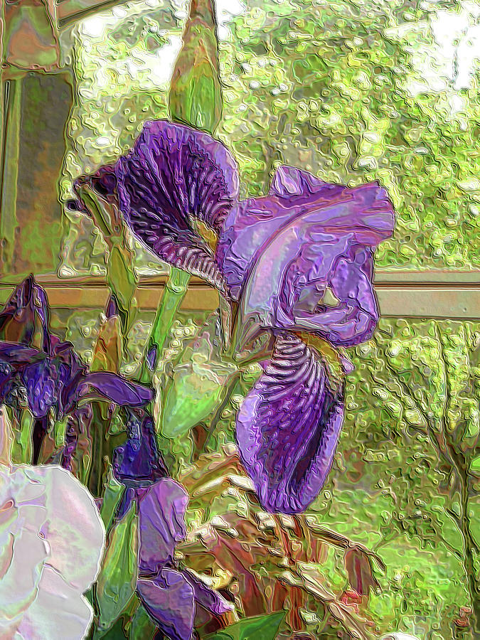 An Iris by the Window Digital Art by Vickie G Buccini