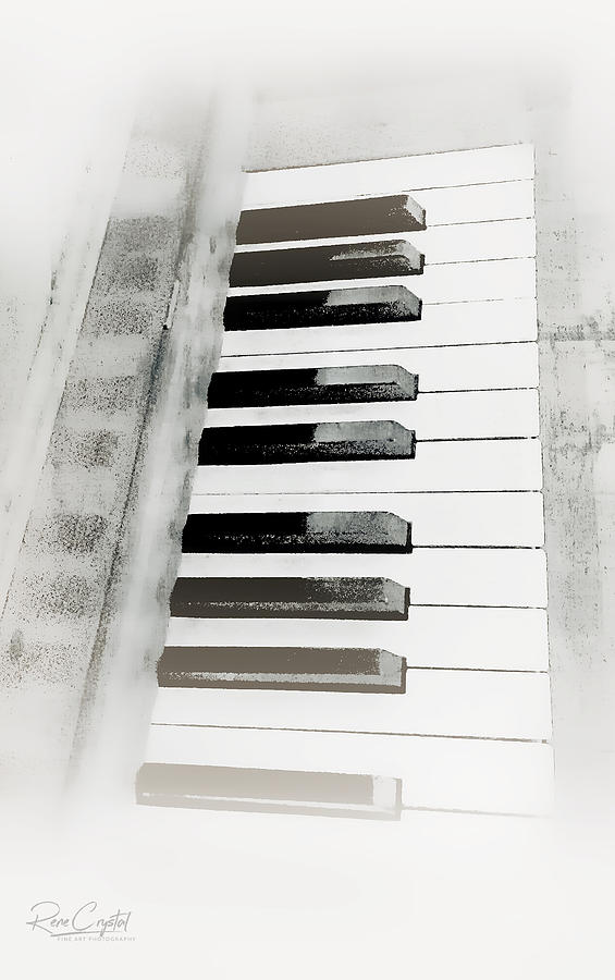 An Octave In Black N White by Rene Crystal An Octave In Black N White by Rene Crystal