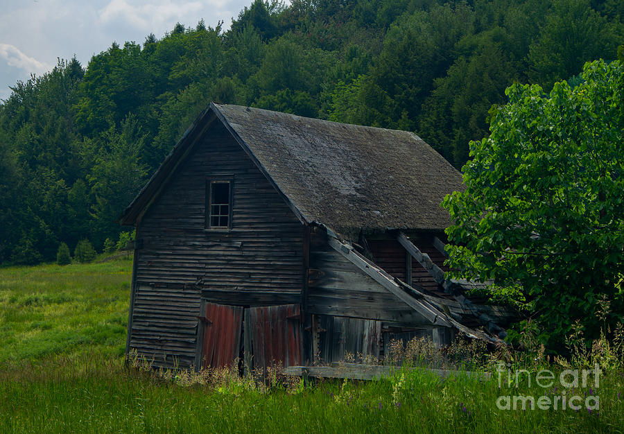 An Old Barn in Vermont Photograph by L Bosco
