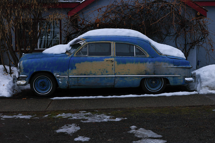 An Old Blue Cat In Melting Snow Photograph By Jeff Swan Fine Art America