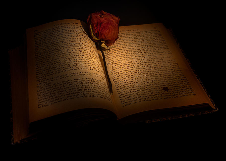 An old book by the candlelight by Alessandra RC An old book by the candlelight by Alessandra RC