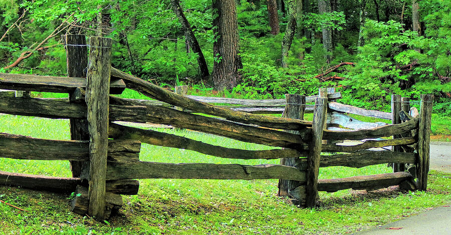 Nature Photograph - An Old Country Fence by Rick Davis