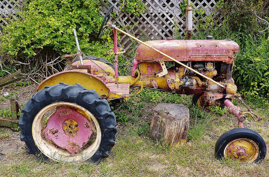 Old Tractor Photograph - An Old Farmall Tractor by Martha Sherman