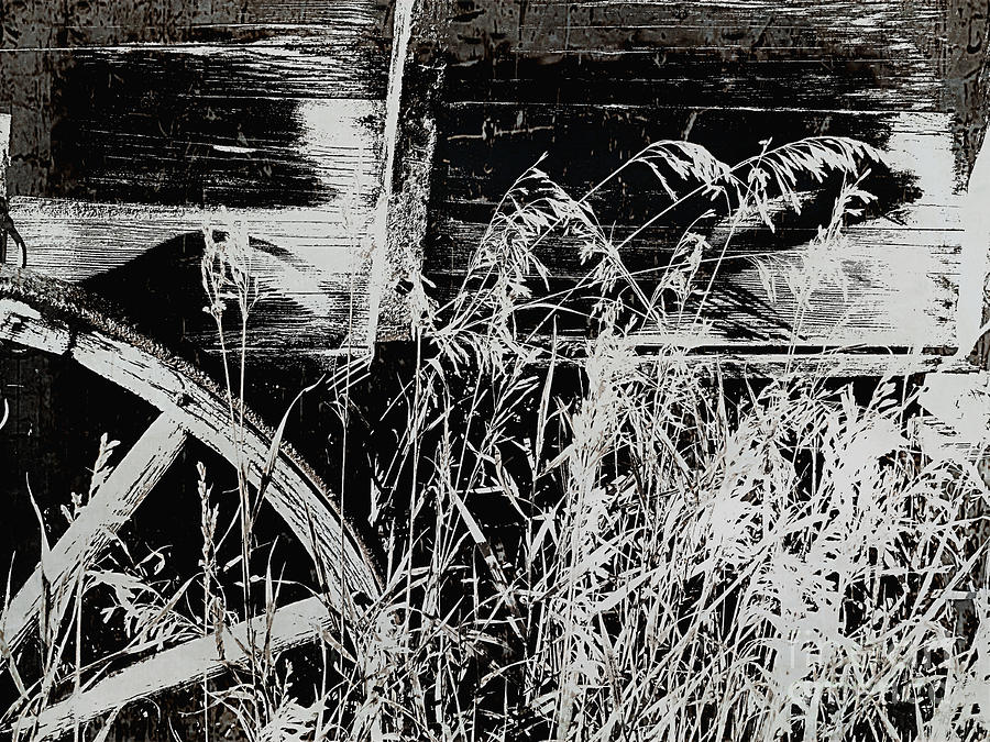 An Old Prairie Schooner Photograph by Al Bourassa