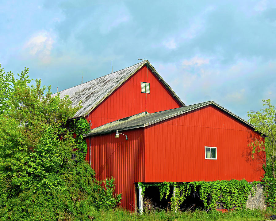 An Old Red Barn Photograph by Roberta Byram