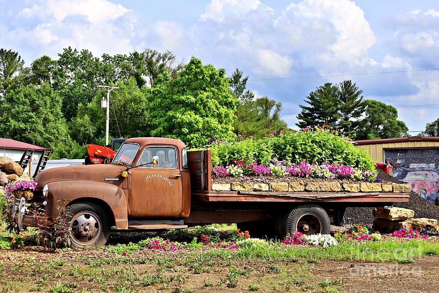 Flower Photograph - An Old Truck as Landscaping by Martha Sherman
