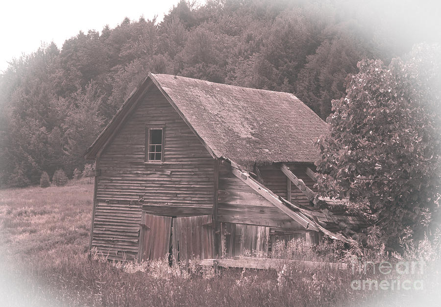 An Old Vermont Barn in Sepia Photograph by L Bosco