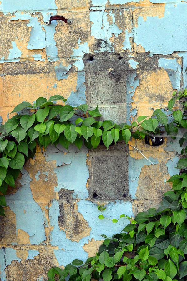 An Old Wall Photograph by Mike McCool