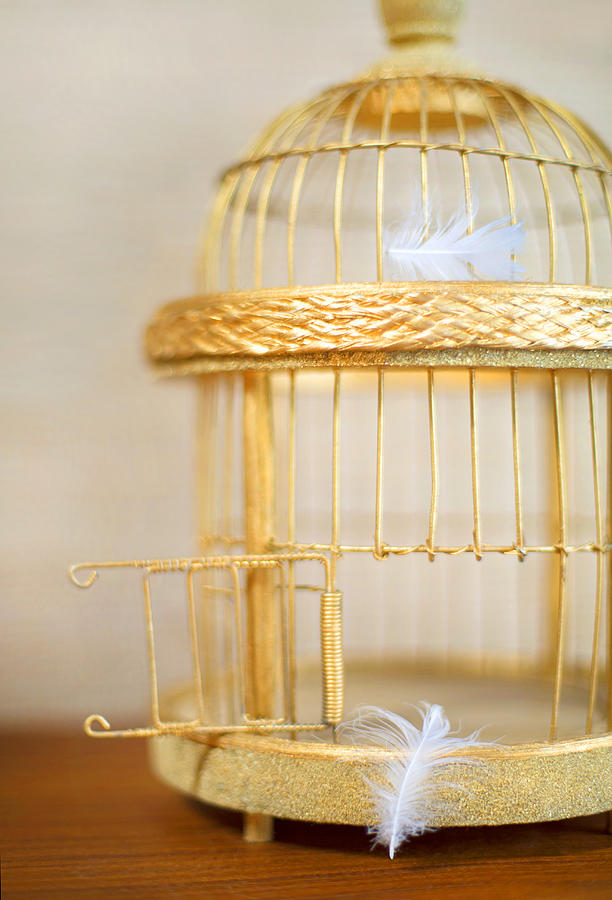 An open, golden bird cage and lost feathers Photograph by Grant Faint