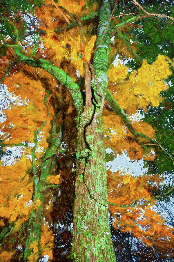 Mountain Painting - An Orange Autumn ap by Dan Carmichael