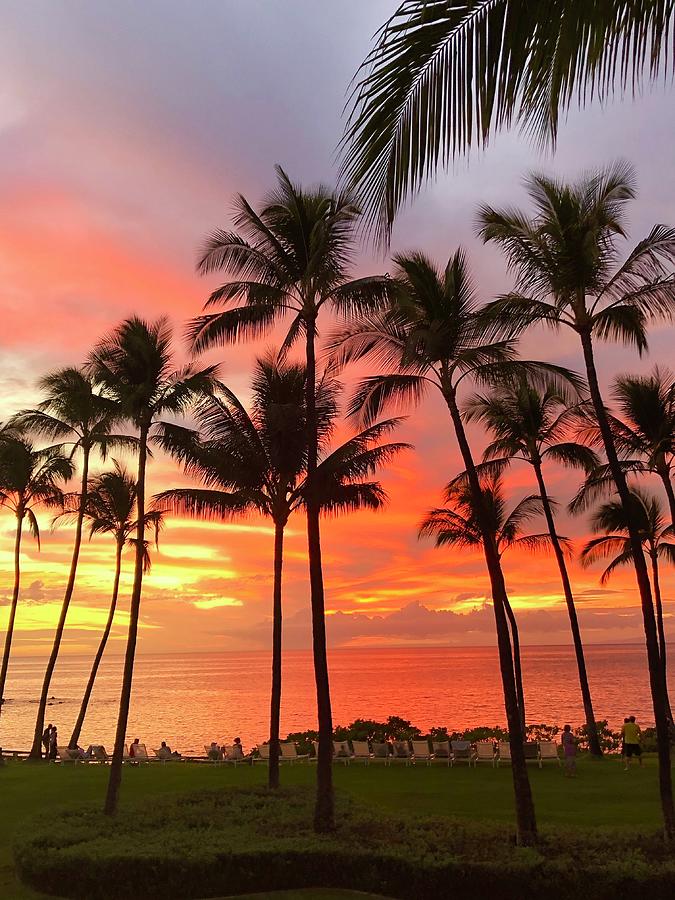 An Orange Maui Sunset Photograph by Suzanne Stavert - Pixels