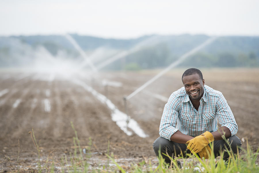 An organic vegetable farm,with water sprinklers irrigating the fields. A man in working clothes. Photograph by Mint Images - Tim Robbins