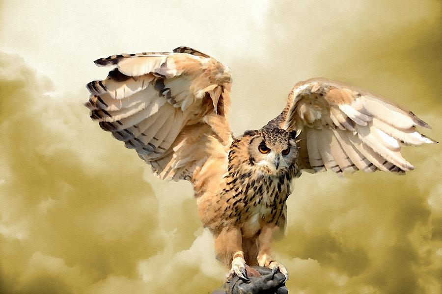 An Owl Landing With Cloud Background L B Digital Art
