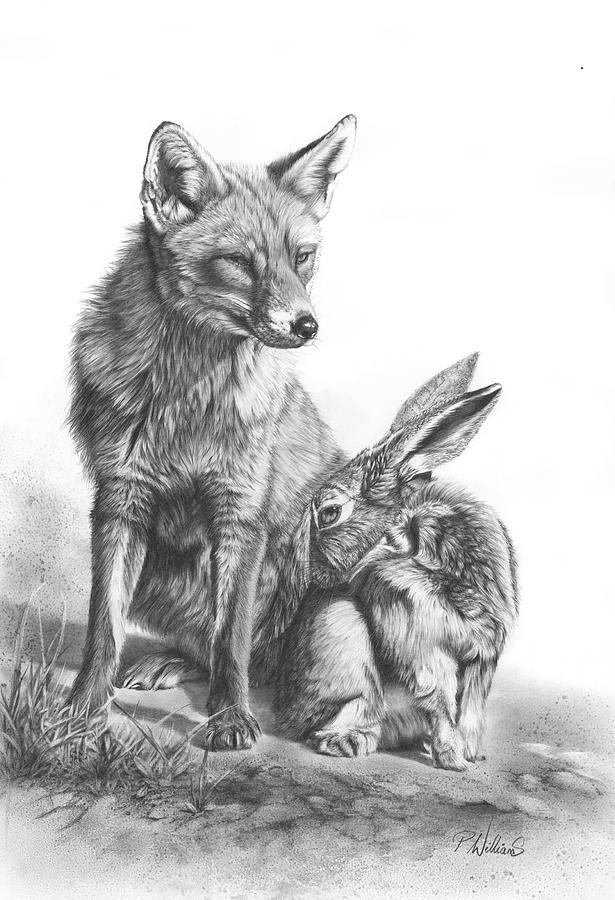 An Unlikely Alliance - Fox And Hare Drawing Drawing