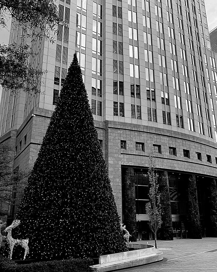 An Uptown Christmas BW Photograph by Lee Darnell