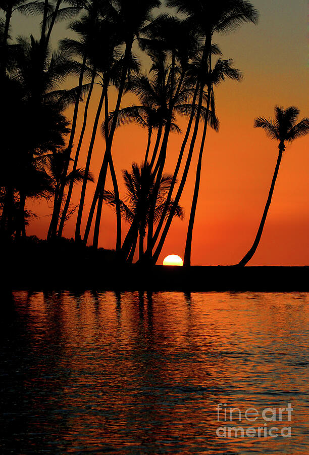 Anaeho'omalu Bay, Hawaii Photograph by Lance Larson - Fine Art America