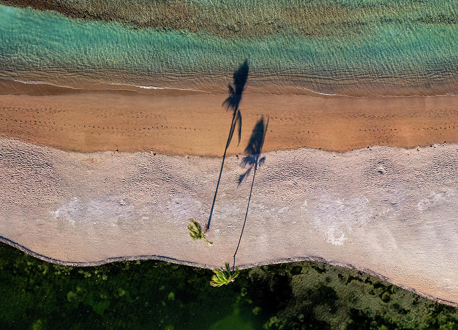 Anaehoomalu Beach Palm Tree Shadows Photograph by Christopher Johnson