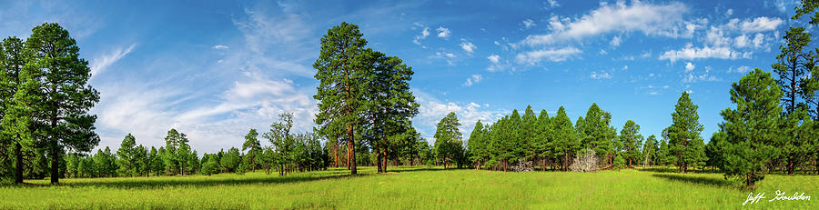 Anasazi Meadow on Campbell Mesa Photograph by Jeff Goulden