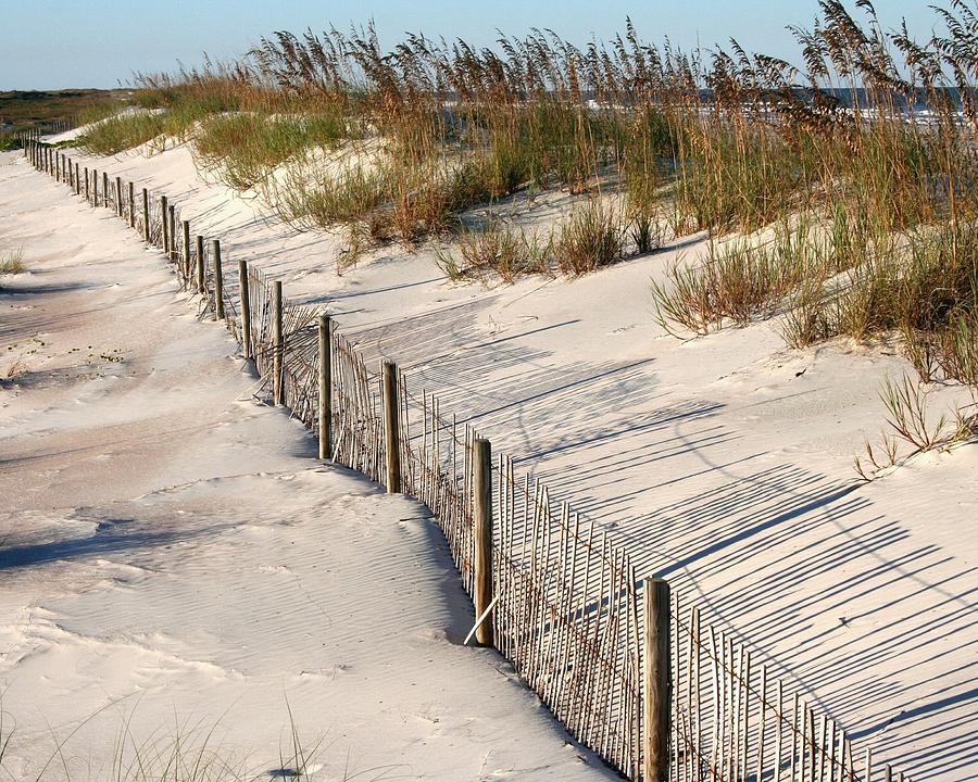 Anastasia Island Sand Fence Photograph by Charles Huss | Fine Art America