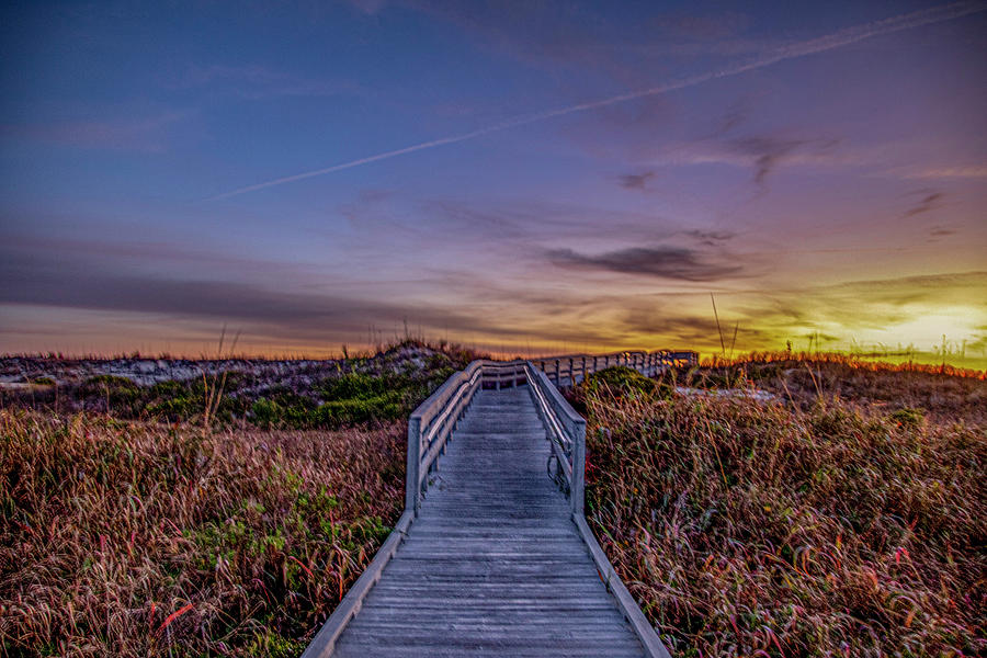 Anastasia State Park Photograph By Jean Haynes Pixels   Anastasia State Park Jean Haynes 