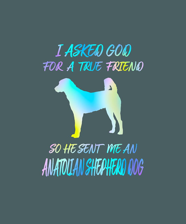 Anatolian Shepherd Dog God sent Digital Art by Job Shirts Fine Art