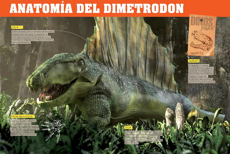 Anatomia del Dimetrodon Digital Art by Album