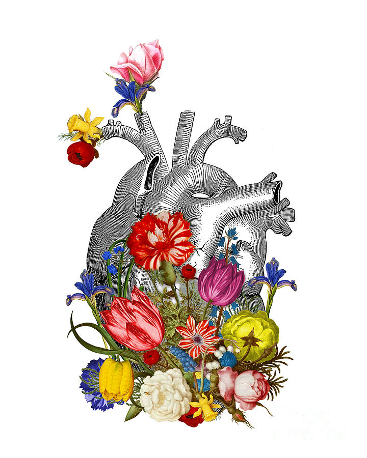 Anatomical Heart With Colorful Flowers Digital Art by Madame Memento