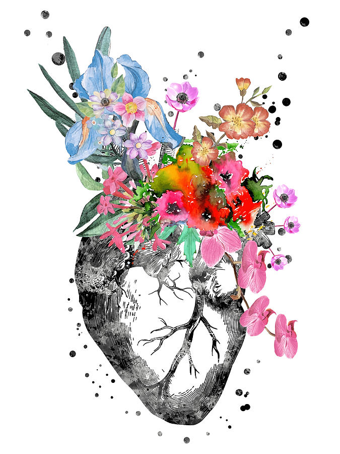 Anatomical heart with flowers heart Canvas Painting by Knight Beth ...